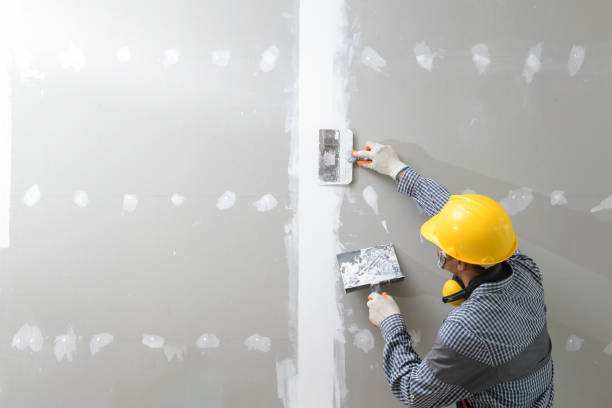 Best Repainting for Renovations  in USA